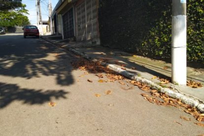 Varrição no Santo Elias